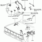 1981 Toyota Pickup Wiring Diagram