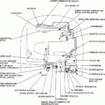 1993 Toyota Pickup Wiring Diagram Database Wiring Diagram Sample