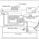 2005 Toyota 4Runner Wiring Diagram Ccv Solenoid Database Wiring