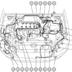 2009 Toyota Matrix Subwoofer Wiring Diagram Collection Wiring