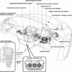 Wiring Diagram Of Multi information Display Unit On A 2013 Toyota