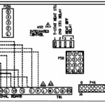 1995 Toyota Avalon Xls Stereo Wiring Diagram