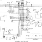 1999 Toyota Corolla Wiring Diagram