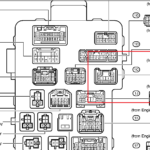 2001 Toyota Tacoma Stereo Wiring Diagram Database Wiring Diagram Sample